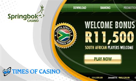  is springbok casino legit